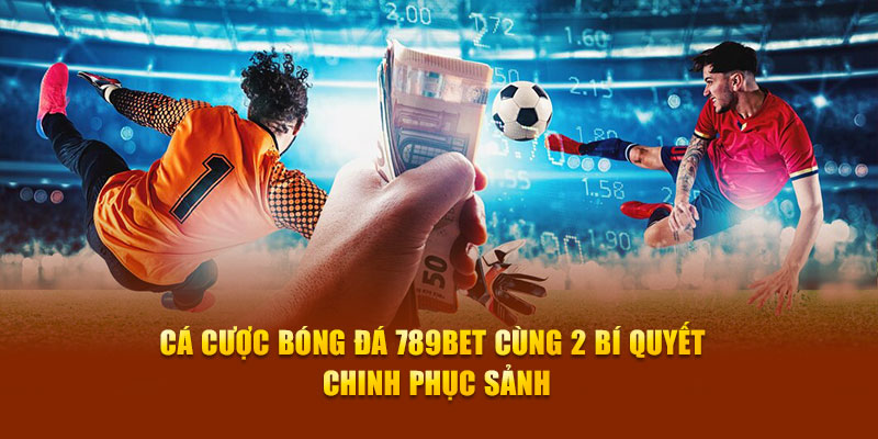 Cá Cược Bóng Đá